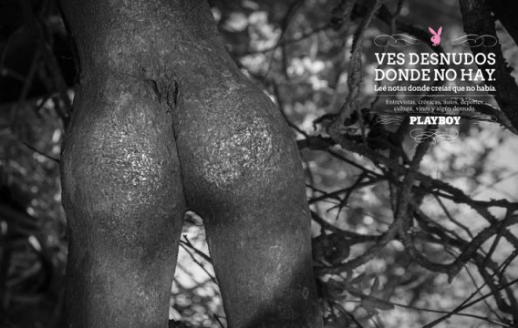 "Ves. Leés"