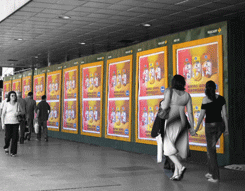 Poster 1 módulo (P1M) 