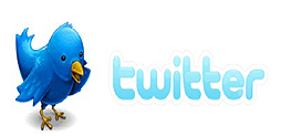 Fin del misterio: se conoció el nombre del pájaro de Twitter