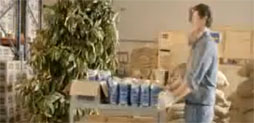 “Planta”, la nueva campaña de Ogilvy para Café La Virginia