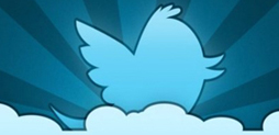 ¿Qué tipo de usuario de Twitter es? conozca 11 tipos de twitteros