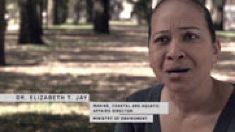 Ogilvy & Mather Colombia gana 2 Oros, 2 Bronces y una Plata en Clio Awards