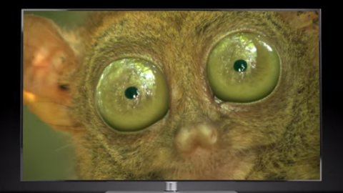 JVC presenta su nueva campaña publicitaria
