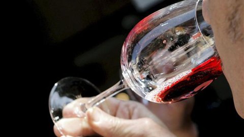 El vino es la bebida con alcohol más elegida por los argentinos
