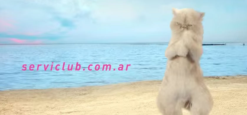 Con "canjes de verano" se cierra la campaña de YPF Serviclub