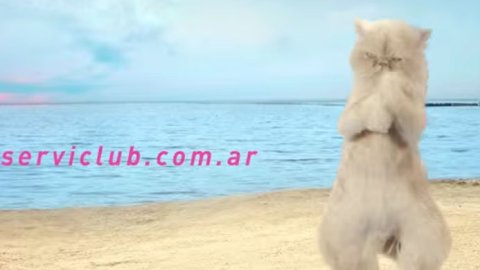 Con "canjes de verano" se cierra la campaña de YPF Serviclub