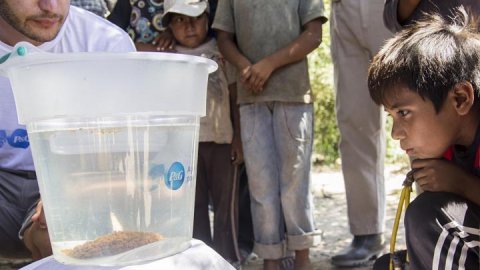 P&G lanza en la Argentina el programa “Agua limpia para los Niños”