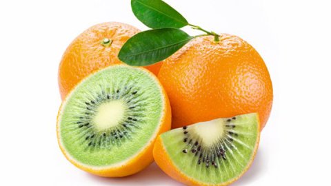Curso de formación de la AAM