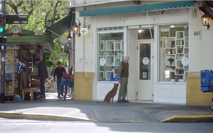  “El hombre y el perro”, una campaña por la donación de órganos