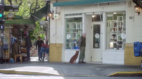  “El hombre y el perro”, una campaña por la donación de órganos