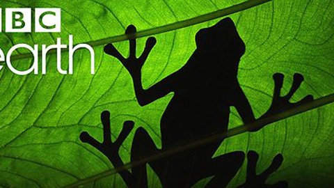 El canal BBC Earth llega a América Latina en septiembre