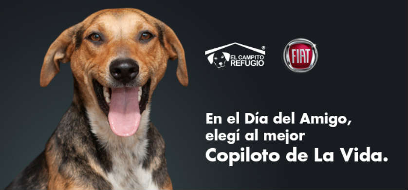Acción de Rapp Argentina y FIAT para el “Día del Amigo”