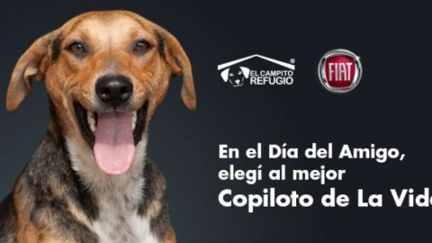 Acción de Rapp Argentina y FIAT para el “Día del Amigo”