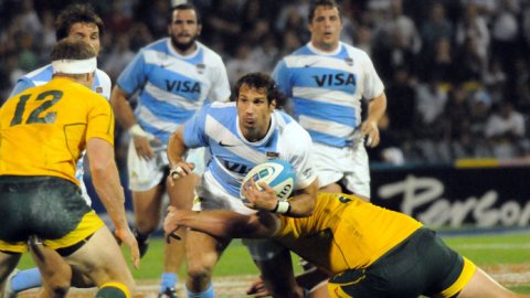 La TV Pública y ESPN transmiten a Los Pumas vs. Los Wallabies