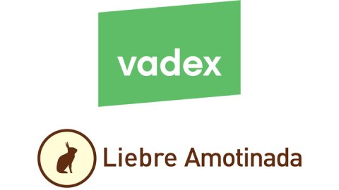 Vadex eligió a Liebre Amotinada para su primera campaña integral