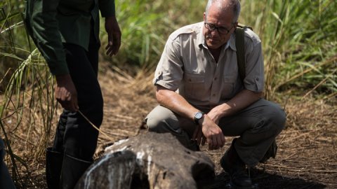 Nat Geo realiza una investigación encubierta sobre el tráfico ilegal de marfil
