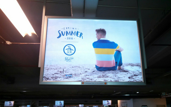 Lo nuevo de Brand Plus para Penguin