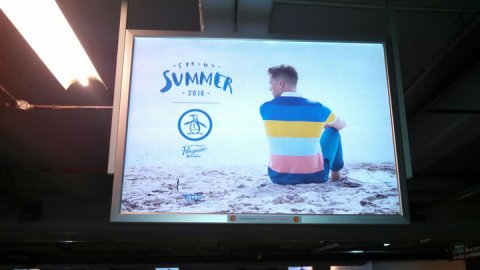 Lo nuevo de Brand Plus para Penguin