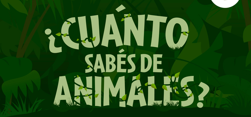 "Cuánto sabés de animales"