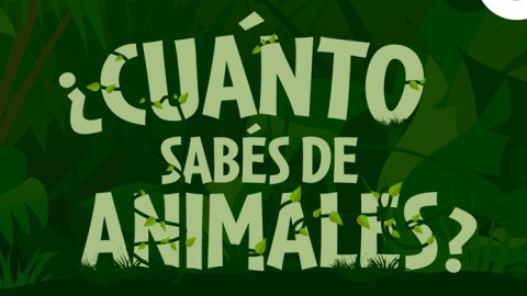 "Cuánto sabés de animales"
