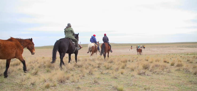 “Patagonia Road Trip”, el trabajo de Human para Cerveza Patagonia