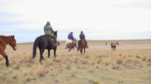“Patagonia Road Trip”, el trabajo de Human para Cerveza Patagonia