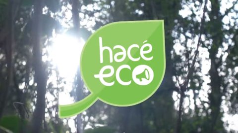361, Rexona y Dove proponen “hacer eco” en su campaña