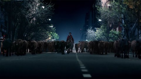 "Gaucho", lo nuevo de Madre para el relanzamiento de Paty