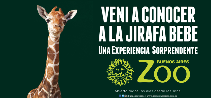 “Altas Vacaciones” lo nuevo de Puro Presente para el Zoo