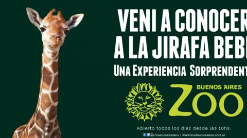 “Altas Vacaciones” lo nuevo de Puro Presente para el Zoo