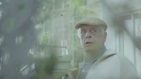 Santander lanza campaña por la renovación del patrocinio de la Copa Libertadores