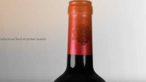 “Spot sin firma”, galardonado por la Cámara de Anunciantes del Paraguay