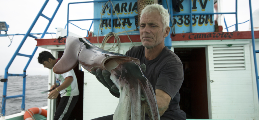 Jeremy Wade descubre por primera vez las monstruosas criaturas de mar