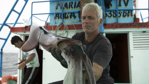 Jeremy Wade descubre por primera vez las monstruosas criaturas de mar