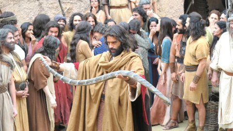 Los 10 programas más vistos de la última semana