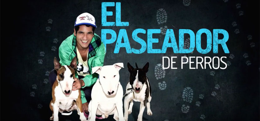 “El paseador de perros”, la campaña de Animal Planet y Raza