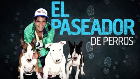 “El paseador de perros”, la campaña de Animal Planet y Raza