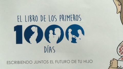 Presentaron “El libro de los primeros 1000 días”