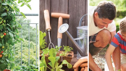 La Nación lanzó el coleccionable “Mi huerta, de la siembre a la mesa”