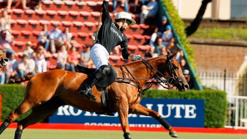 El cronista comercial lanza un suplemento sobre Polo