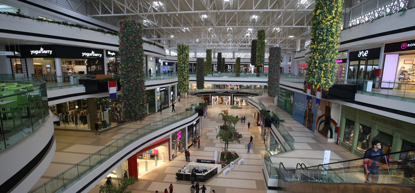 Brand Plus desembarcó en Paraguay