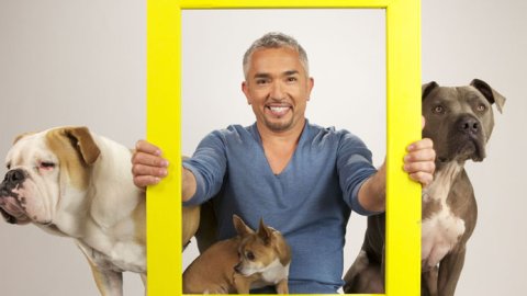 Asociación entre HITN-TV con Nat Geo y FOX