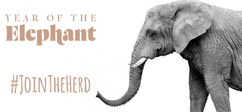 Grey Londres lanza la campaña global #JoinTheHERD