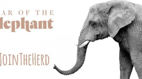 Grey Londres lanza la campaña global #JoinTheHERD