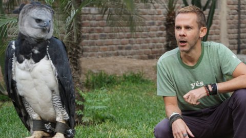 Llega a Animal Planet nueva temporada de “Criaturas de miedo”