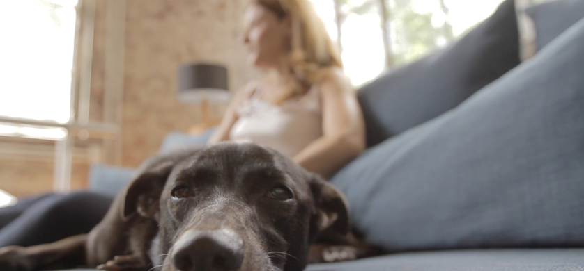 #TuLadoDulce, lo nuevo de ITALIA para Conciencia