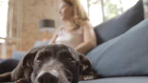 #TuLadoDulce, lo nuevo de ITALIA para Conciencia