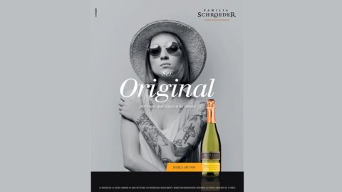 be singular presentó su primer trabajo para Bodega Schroeder