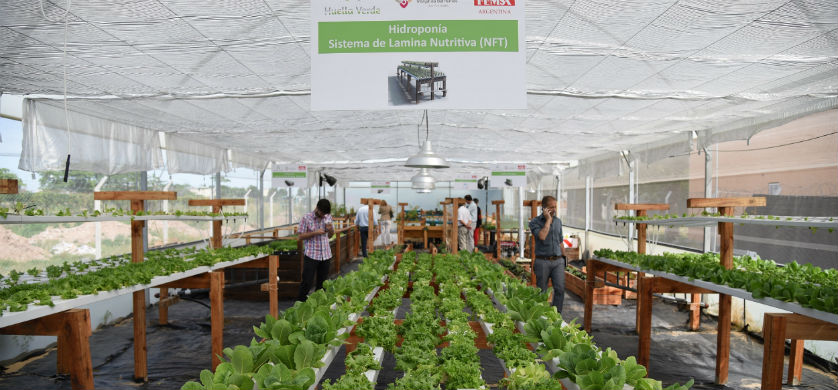 Coca-Cola FEMSA inauguró una huerta hidropónica en el Comedor Los Piletones