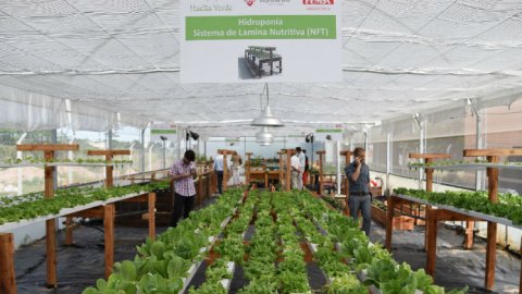 Coca-Cola FEMSA inauguró una huerta hidropónica en el Comedor Los Piletones